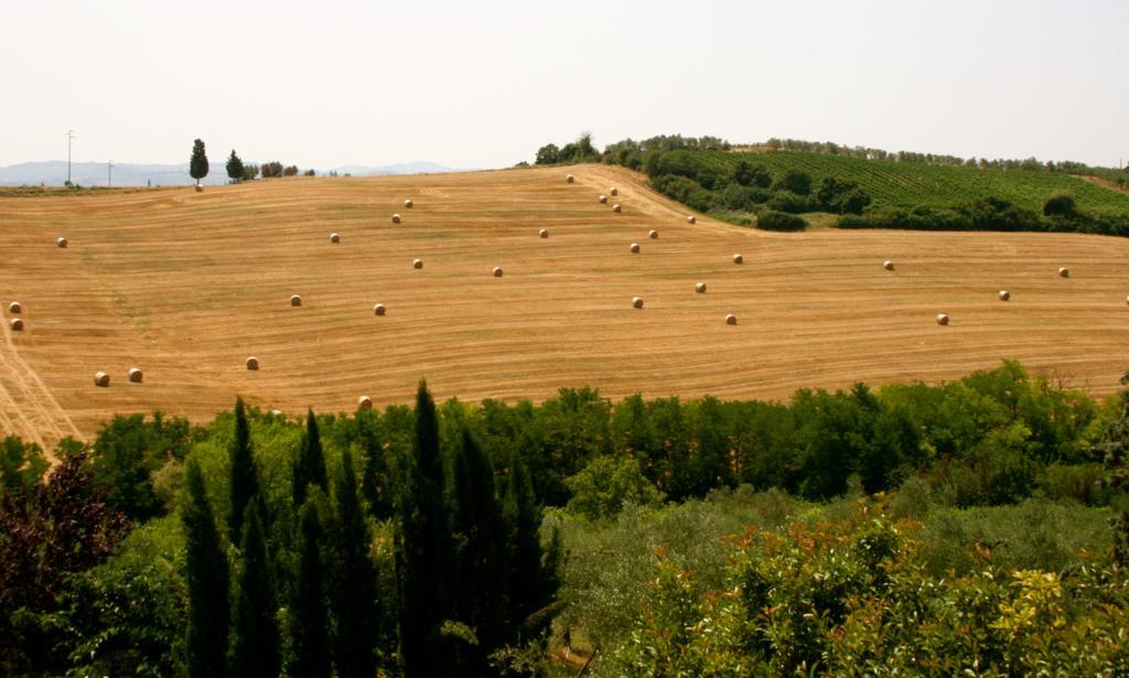 Podere Gattabigia Lastra a Signa Exterior foto